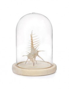 KIKKERLAND OR84-L Cristal de Campana Con Base de Madera Grande