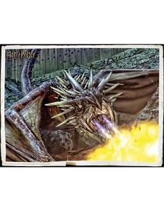 HARRY POTTER Puzzle 300 Piezas Lenticular 3D Dragon