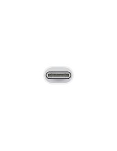APPLE Adaptador Usb C a Lightning MUQX3ZM/A