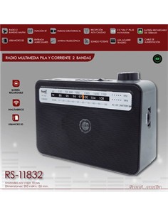 SAMI Radio Multimedia AM/FM Recargable RS-11832,Usb,Micro Usb,Bat. y Corriente,Bluetooth,Jack 3.5mm,