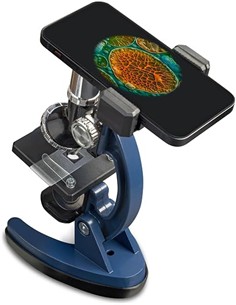 KONUS Microscopio KONUSCIENCE-2 300x-600x-1200x