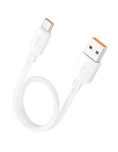HOCO Cable Datos TIpo C a Usb A 100W X96 25cms Blanco