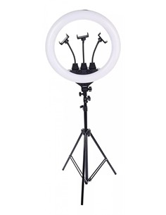 GREEN LYCA Aro de Luz 18" Con Luces RGB GL69841