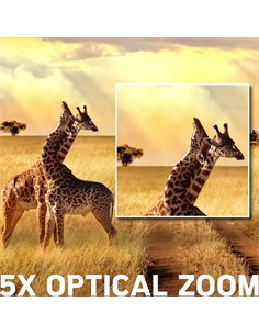 AGFAPHOTO Pack Camara Digita+Tripode+Microfono Para Vlog VLG-4K Optical 24Mpx/4K