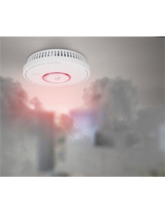 ALECTO Combo Detector de Humo y Monoxido de Carbono ALARM SCA-10 HOG093