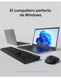 BELKIN Teclado + Raton Inalambrico BBZ010 Usb Negro