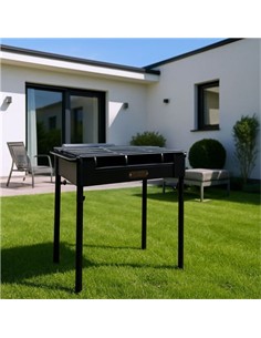 ALGON AG-3843231 BARBACOA HIERRO CON PATAS 45X25CM 1