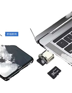 FGNS Lector Tarjeta Micro SD Con Conector Tipo C AD223