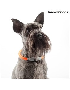 INNOVAGOODS Collar LED Para Mascotas