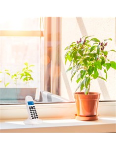 MOTOROLA Telefono Inalambrico C1001CB+ Blanco